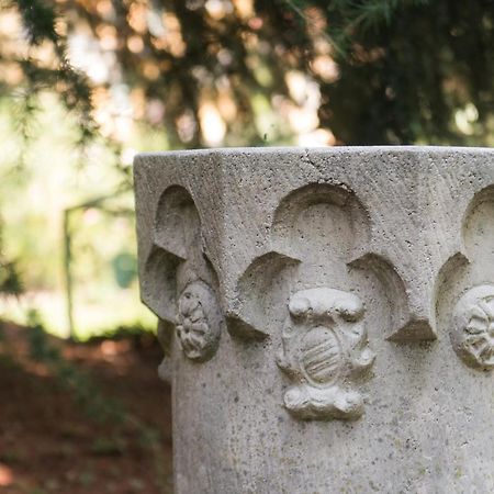 Villa Vittoria - The House Of Travelers Τσερνόμπιο Εξωτερικό φωτογραφία